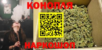 не бодяженный Заводоуковск