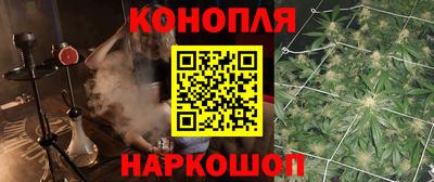 индика Жуковский