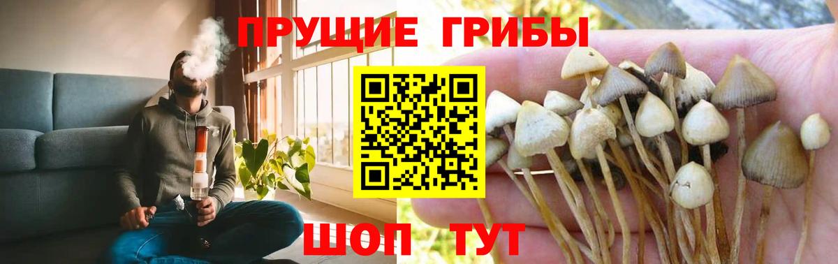 Псилоцибиновые грибы мухоморы  Вход с VPN  наркотики  Ливны 