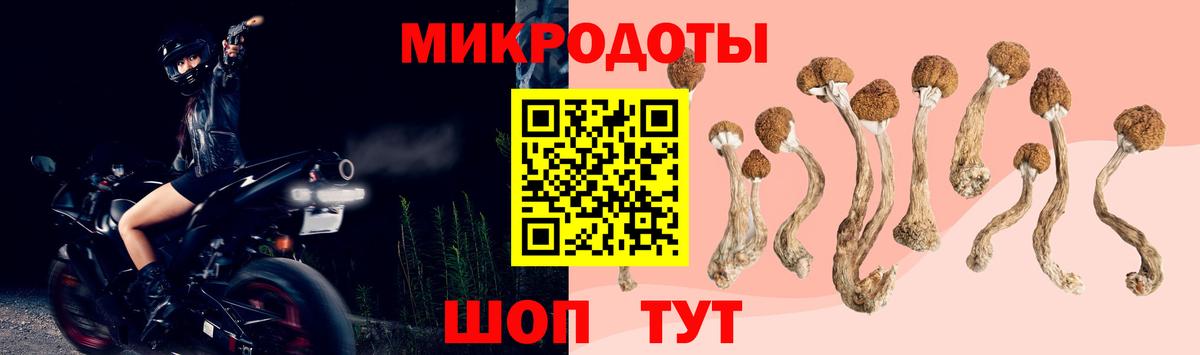 Галлюциногенные грибы мицелий Ливны